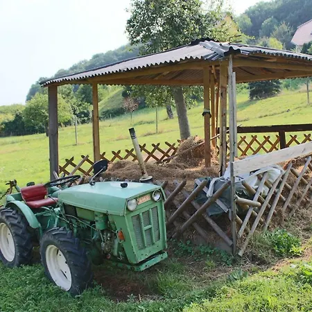 Ferienhof Gräfe - 3-Seiten Hof mit großem Garten, Pool&Sauna Meißen Exterior foto