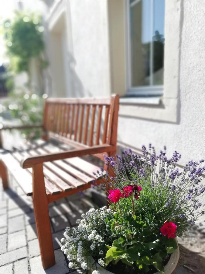 Gräfe - 3-seiten Hof Mit Großem Garten, Pool&sauna Apartment Meißen
